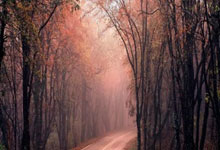 [冰雪]王冰玉：最后两投都有着不同的意义.