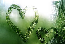 [冰雪]王冰玉：最后两投都有着不同的意义.