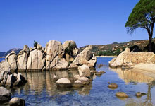 8场18强赛后 国足最佳首发11人浮出水面 京沪6将领衔 王大雷替补.